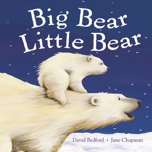 Big Bear Little Bear. David Bedford & Jane Chapman