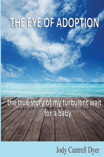 The Eye of Adoption: The True Story of My Turbulent Wait for a Baby