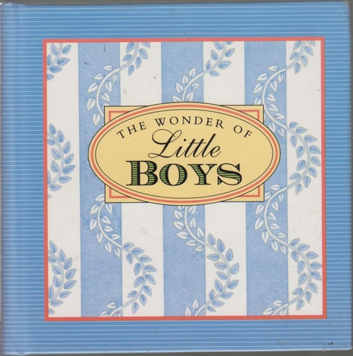 The Wonder of Little Boys