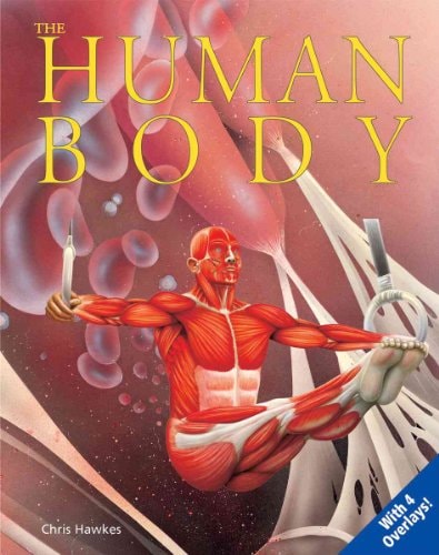The Human Body: Uncovering Science (Uncovering series)