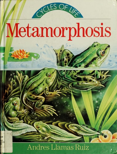 Metamorphosis (Cycles of Life Series)