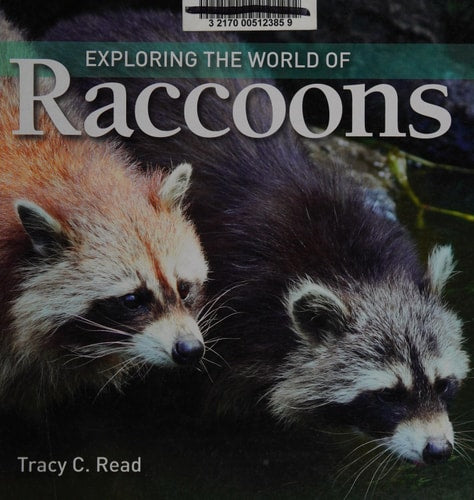 Exploring the World of Raccoons
