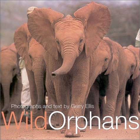 Wild Orphans