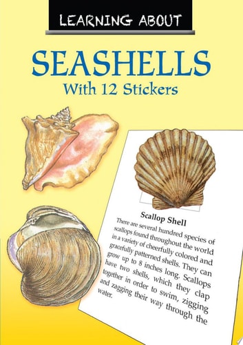 Learning About Seashells (Dover Little Activity Books: Sea Life)