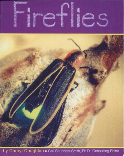 Fireflies (Pebble Books)