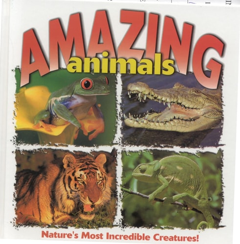Amazing Animals (Its Nature)