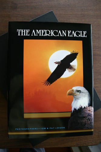 The American Eagle