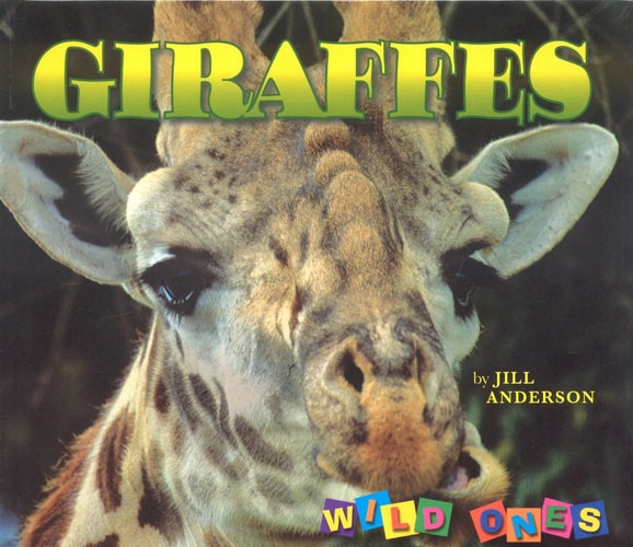 Giraffes (Wild Ones)