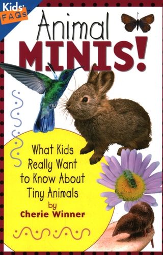 Animal Minis: What Kids Really Want to Know about Tiny Animals (Kids Faqs)