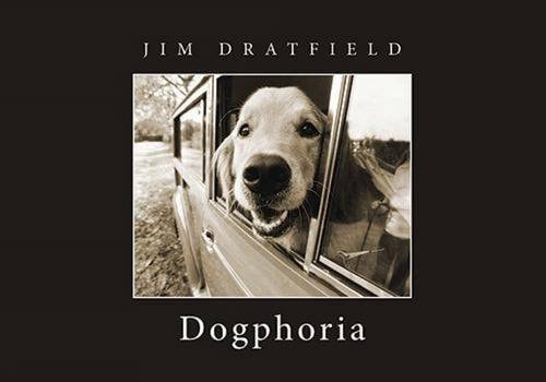 Dogphoria