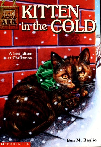 Kitten in the Cold