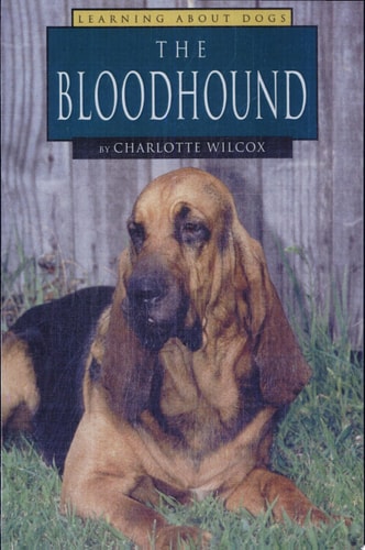 The Bloodhound (Learning About Dogs)