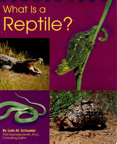 What Is a Reptile? (Pebble Books)