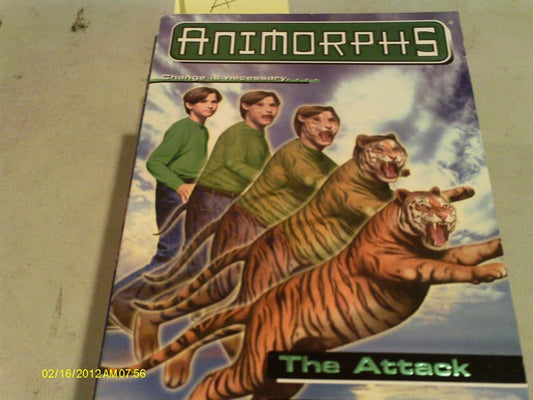 The Attack