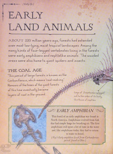 Bone Collection: Dinosaurs and Other Prehistoric Animals