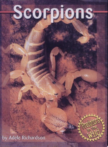 Scorpions (Predators in the Wild)