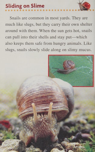 Slimy Slugs and Grubby Bugs