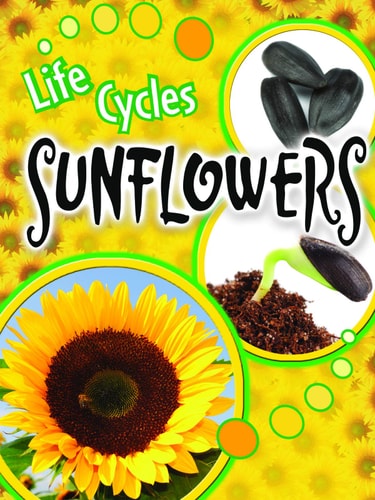 Sunflowers (Life Cycles)