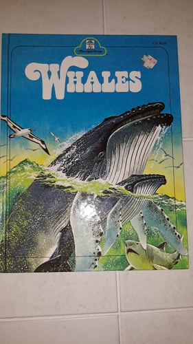Whales
