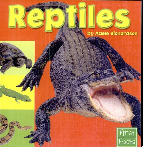 Reptiles (Exploring the Animal Kingdom)