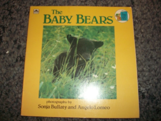 Baby Bears (Look-Look)