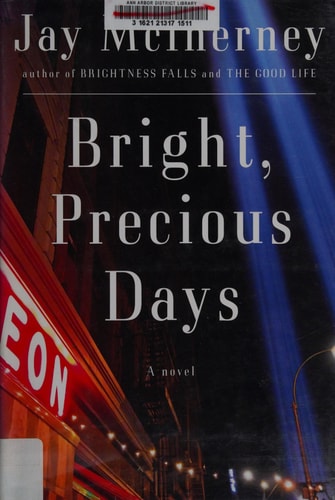 Bright, Precious Days: A novel