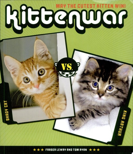kittenwar: may the cutest kitten win!