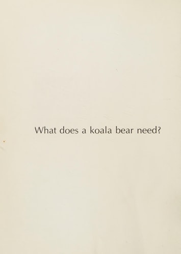 What Does a Koala Bear Need