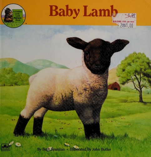 Baby Lamb (Look Look Nature Book)