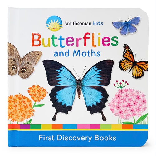 Smithsonian Kids Butterflies and Moths First Discovery Books