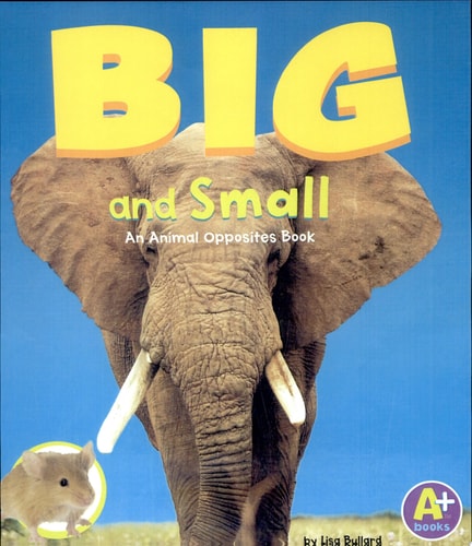 Big And Small (Animal Opposites)