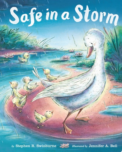 Safe in a Storm