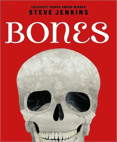 Bones Skeletons and how They Work