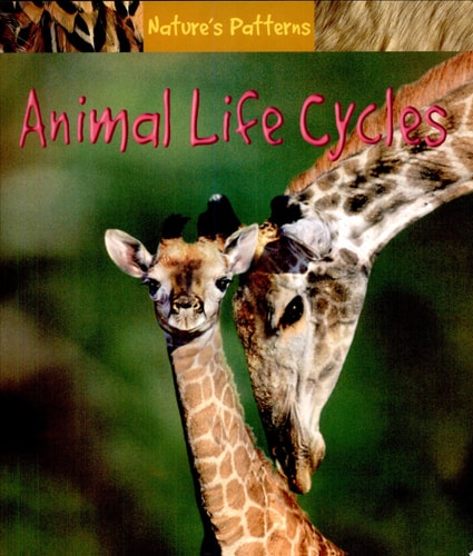 Animal Life Cycles (Nature's Patterns)