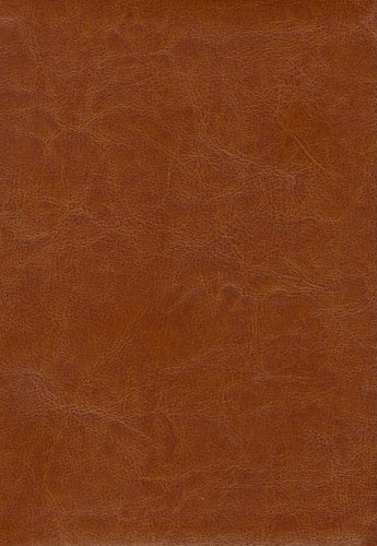 Thompson Answer Bible - NIV - Simulated Leather