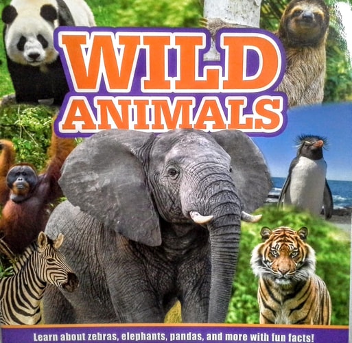 Wild Animals Children's Paperback Book