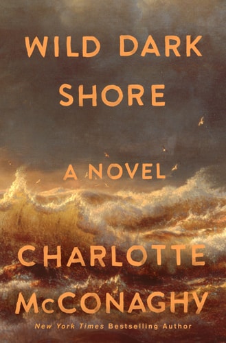 Wild Dark Shore A Novel