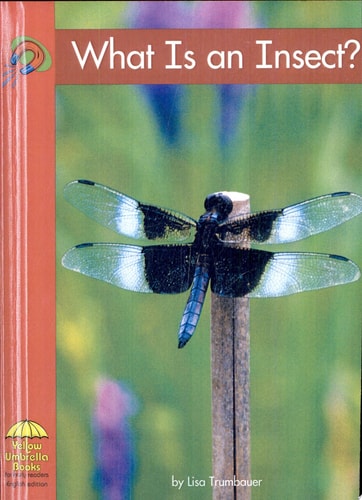 What Is an Insect? (Yellow Umbrella Books)
