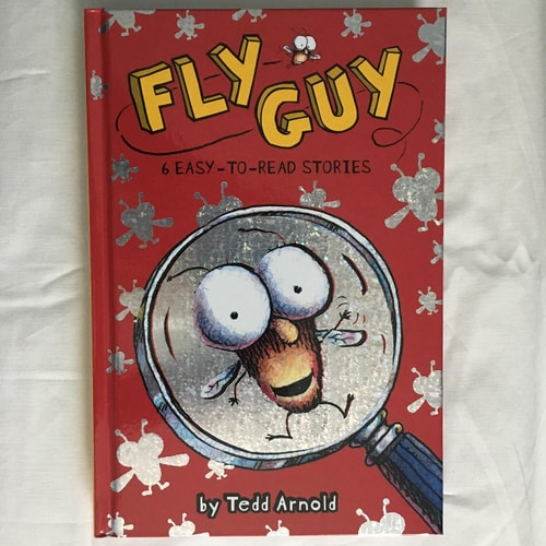 Fly Guy 6 Easy-to-read Stories