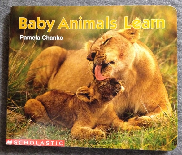 Baby Animals Learn