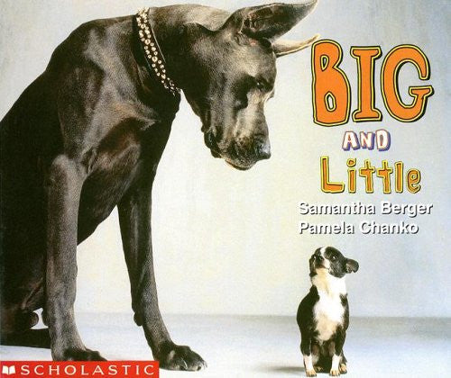 Big And Little (My First Library)