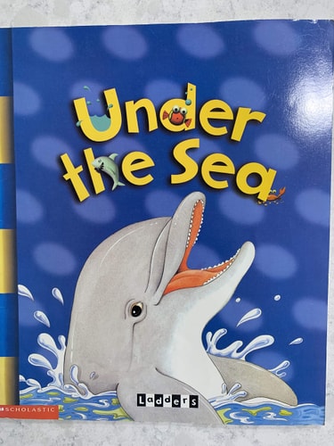 Under the Sea (Ladders)
