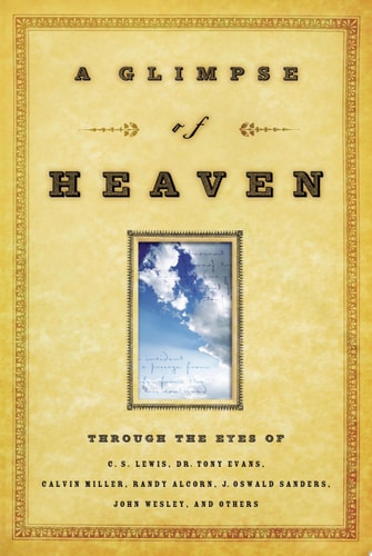 A Glimpse of Heaven: Through the Eyes of Heaven