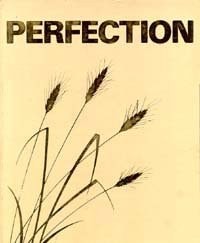 Perfection: The impossible possibility (Anvil series)