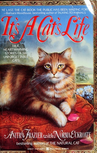 It's a Cat's Life