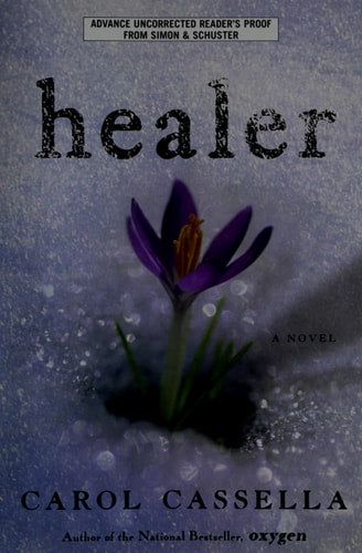 Healer: A Novel