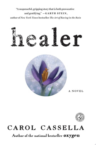Healer: A Novel