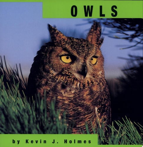 Owls (Animals)