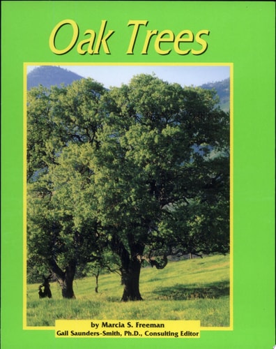 Oak Trees