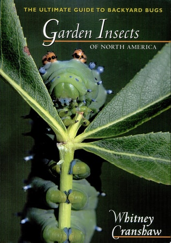 Garden Insects of North America The Ultimate Guide to Backyard Bugs